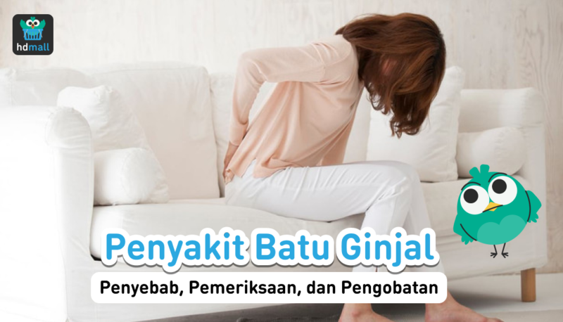 Penyebab Pemeriksaan Dan Pengobatan Batu Ginjal Hdmall