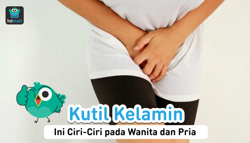 Ciri ciri kutil kelamin