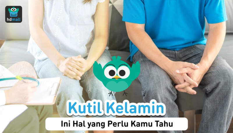 Kutil Kelamin