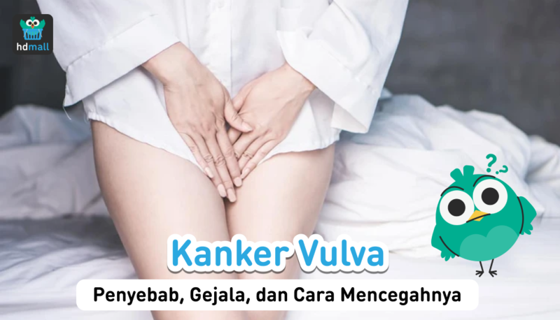 kanker vulva kanker vulva
