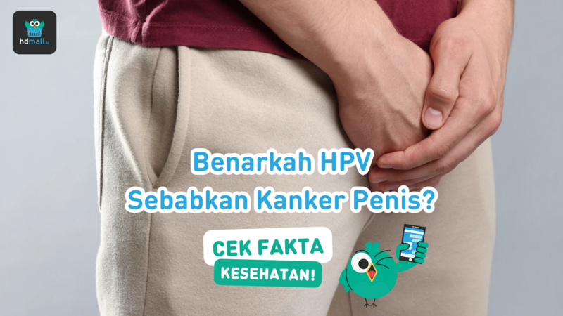 Mitos atau Fakta: HPV Sebabkan Kanker Penis? Mitos atau Fakta: HPV Sebabkan Kanker Penis?