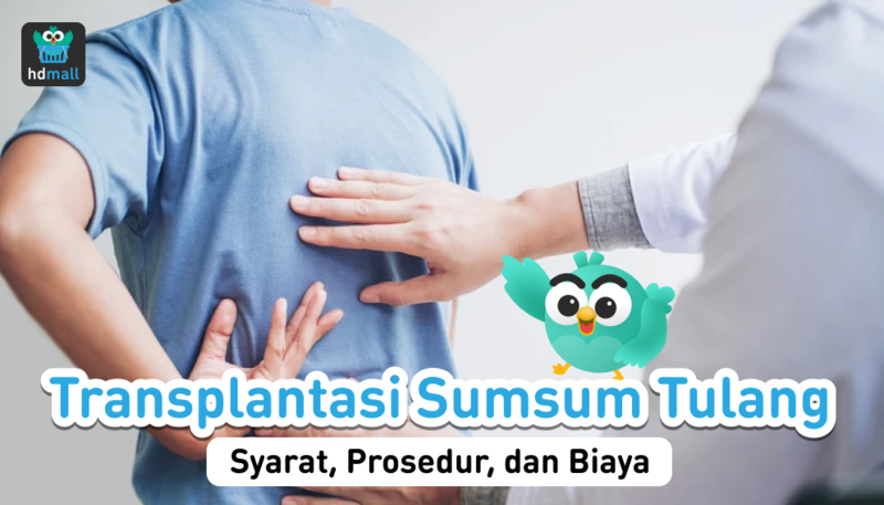 transplantasi sumsum tulang belakang